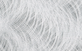 特殊ヘアB.png